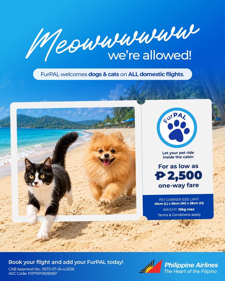 PAL’s FurPAL now welcomes cats
